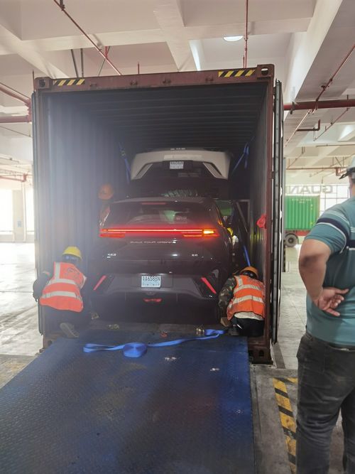 Latest company case about In November, we sent 20 cars to our customers in Egypt