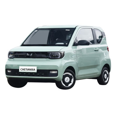 Pure Mini Electric Car 2 Seater Modern Compact New Energy Vehicles