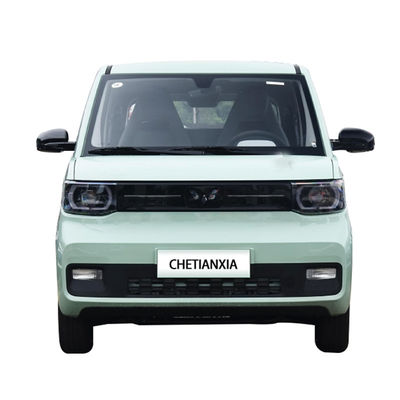 Pure Mini Electric Car 2 Seater Modern Compact New Energy Vehicles