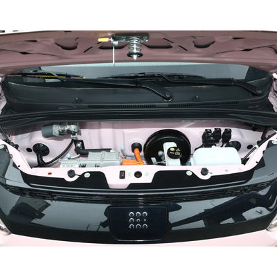 China New Energy Vehicles Pure Cars Dongfeng EV Mini Electric Car