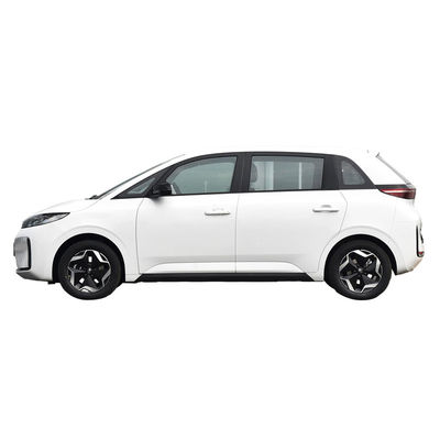 BYD D1 Electric MPV Cars Vehicles Fast Charging New Energy EV
