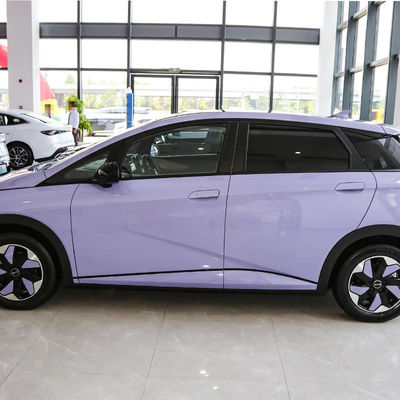 2025 BYD Dolphin Electric SUV with Leather Seats and Electric Rearview Mirror Adjustment
